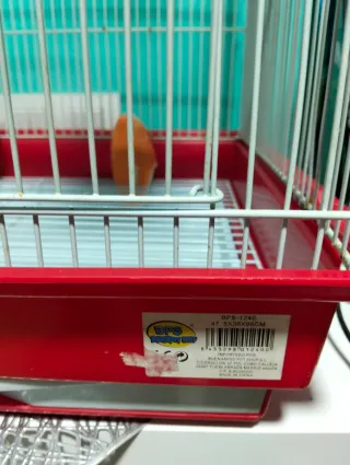 Jaula para pájaros, periquitos, agapornis,ninfas