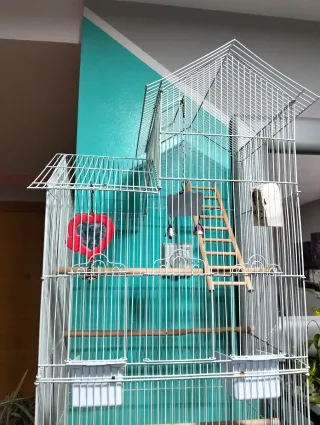 Jaula para pájaros, periquitos, agapornis,ninfas