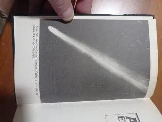 El cometa Halley