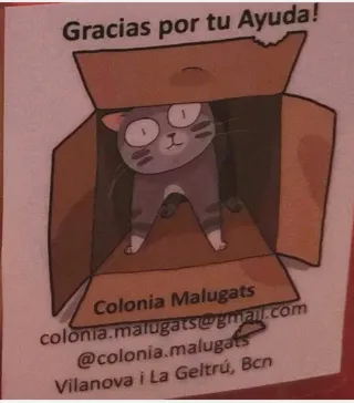 Chanclas Fila Mujer Blancas solidarias