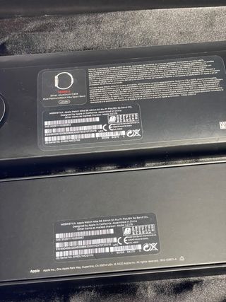 Apple Watch Nike+ Series 6 LTE in alluminio argento