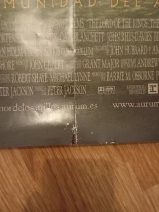 Poster cartel El Señor de los Anillos La Comunidad
