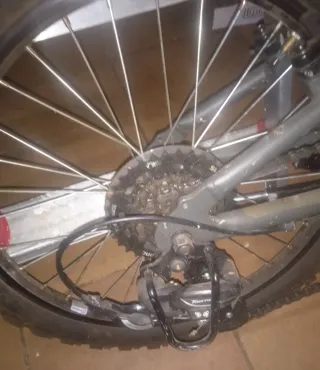 Bicicleta Wyldee Naranja/Gris