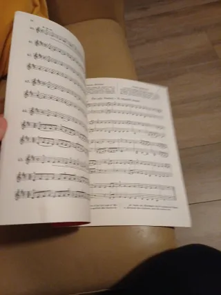 El Violín: Teórico y Práctico (Mathieu Crickboom)