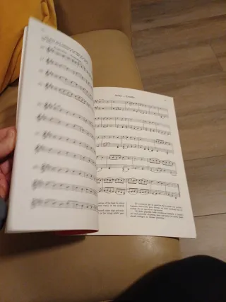 El Violín: Teórico y Práctico (Mathieu Crickboom)