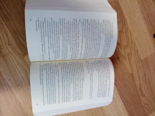 Un mundo sin fin (Saga Los pilares de la Tierra 2)