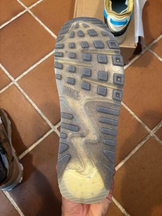 Nike Air Max Terrascape Beige/Azul