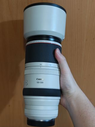 Canon RF 100-500 L Objetivo