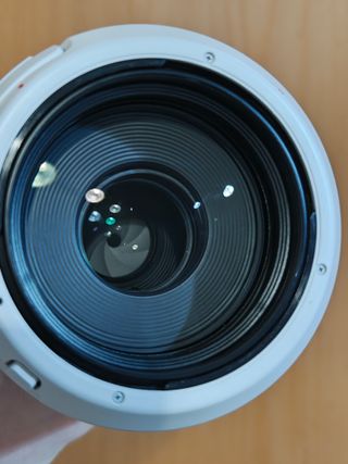 Canon RF 100-500 L Objetivo