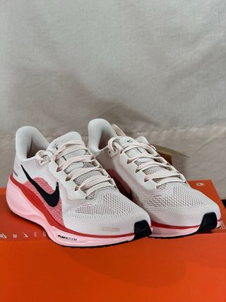 Nike Pegasus 41 Zapatillas Running