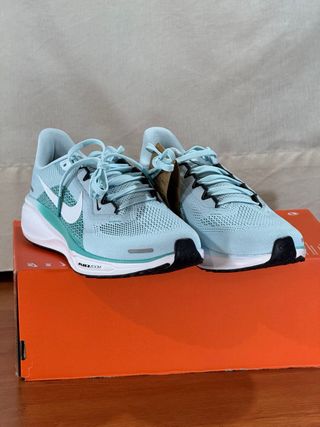 Nike Pegasus 41 Zapatillas Running