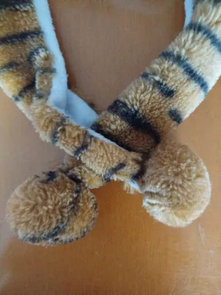 Gorro de tigre con ojos brillantes