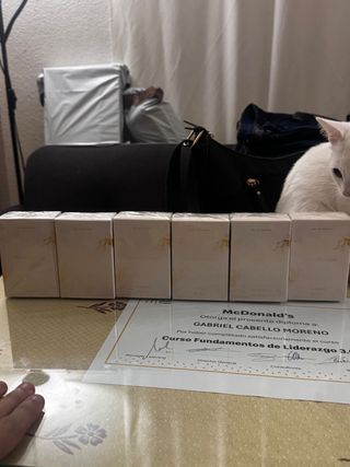 Lote 6 Perfume Temptation