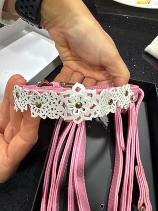 Collar y Correa Perro Oscar de la Renta Rosa