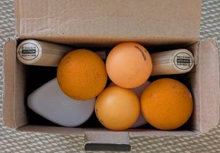 Set de Ping Pong Artengo extensible