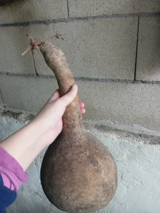 Calabaza Decorativa Verde y Multicolor