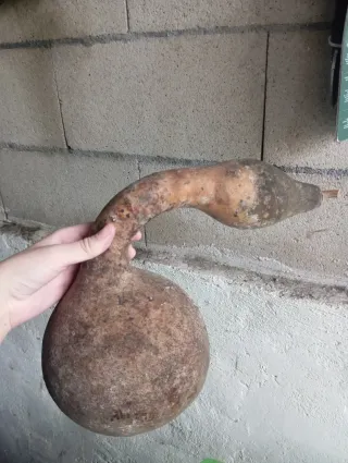 Calabaza Decorativa Verde y Multicolor