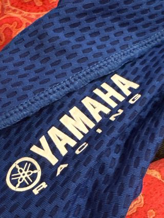 Peto Moto Alpinestars Bionic Action Talla L