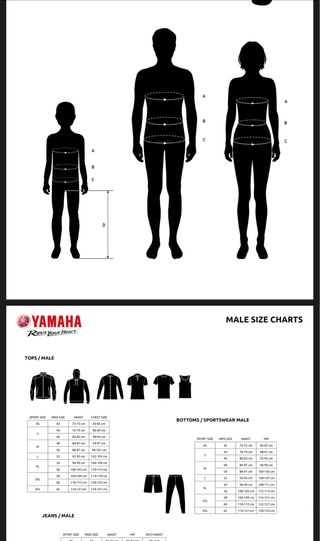 Peto Moto Alpinestars Bionic Action Talla L