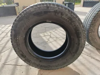 Dos Neumático MichelinAgilis. 225/75R 16CP