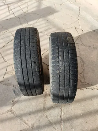 Dos Neumático MichelinAgilis. 225/75R 16CP