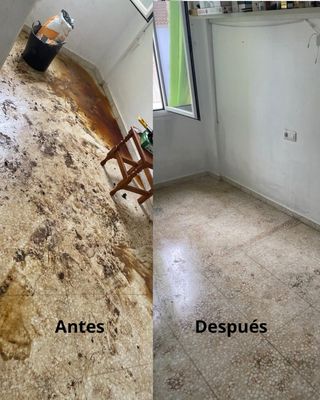 Especialista en soluciones de limpieza profesional