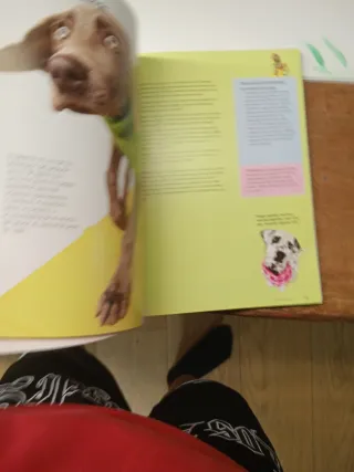 Cincuenta 1 trucos para cachorros (Color)