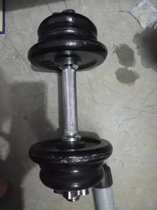 2 Mancuernas con discos 2kg y 1kg