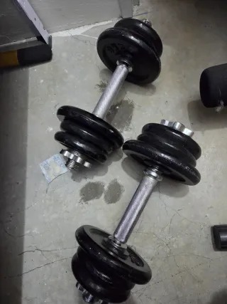 2 Mancuernas con discos 2kg y 1kg