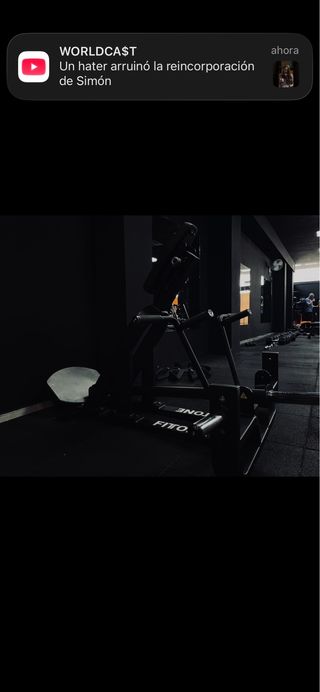 Remo en T Maquina Espalda Gym