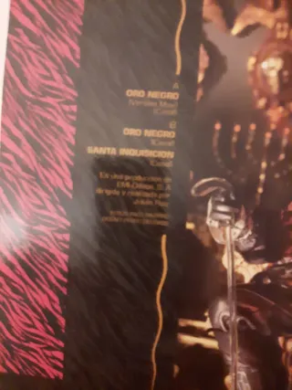 Disco Vinilo Casal Oro Negro