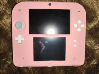 Nintendo 2DS Rosa + New Style Boutique 2