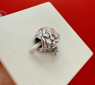 Charm Pandora Hermione Plata