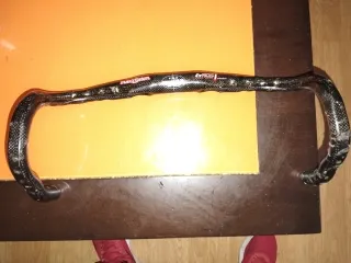 Manillar de carbono para bicicleta