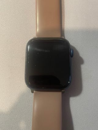 Apple Watch 6 con cinturini