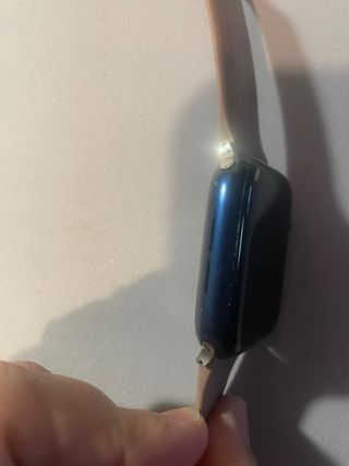 Apple Watch 6 con cinturini