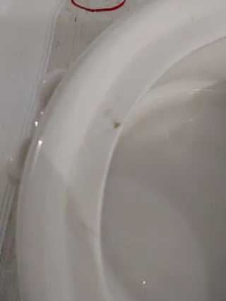 Biscottiera Vintage Ceramica Fiori Blu