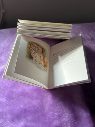 EL MUNDO EN MINIATURA 12 CUENTOS