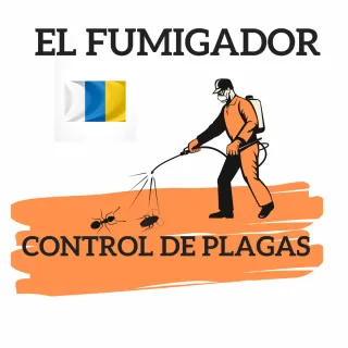 Fumigacion eficaz GRAN CANARIA