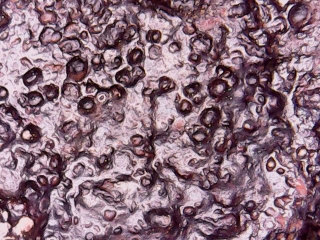 Meteorito Condrita Carbonácea 200gr