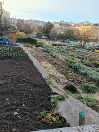 Huerto en Girona o Salt en alquiler