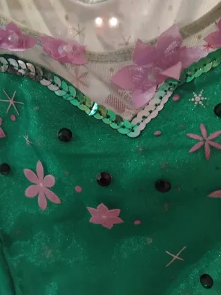 Disfraz Elsa Verde Niña