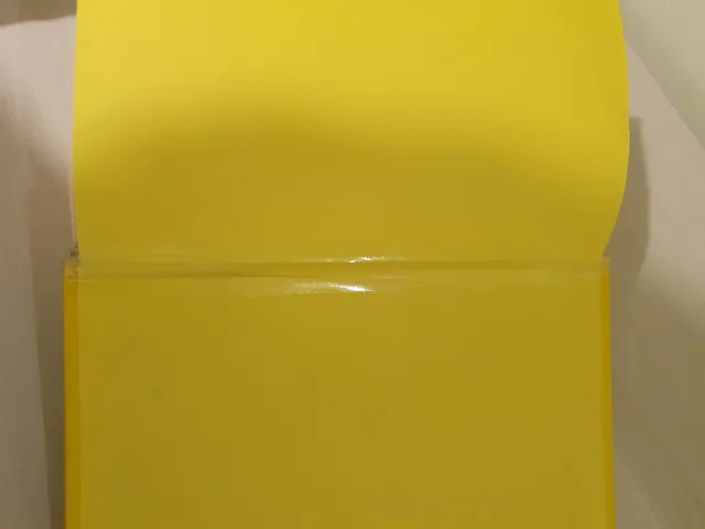 Tutto Sherlock Holmes (eNewton Classici) (Itali...