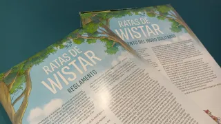 Ratas de Wistar Juego de Mesa