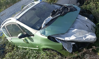 Ricambi meccanica e carrozzeria PEUGEOT 1007