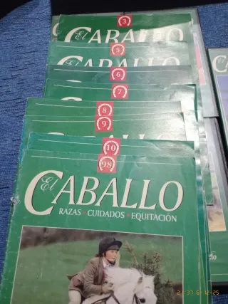 Lote 5 VHS y 8 Revistas El Caballo
