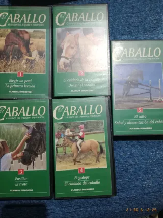 Lote 5 VHS y 8 Revistas El Caballo