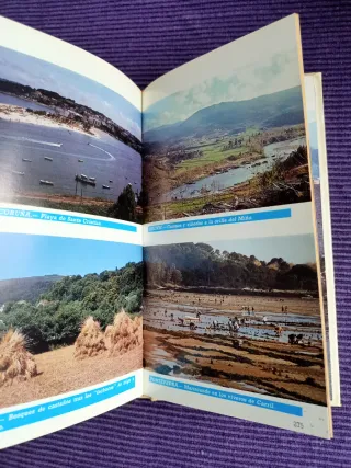 Libro: Amigos de la cocina gallega, 1987