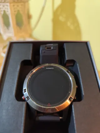 Reloj Garmin Fenix 5 Negro/Plata