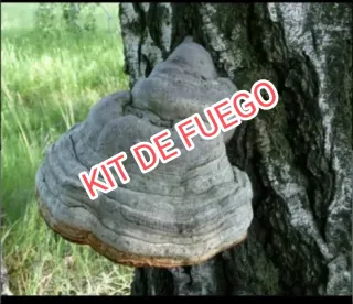 Kit de Fuego para Supervivencia